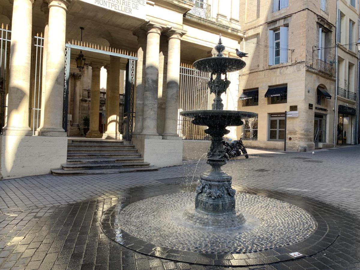 Home Chic Home - La Terrasse Bazille Montpellier Exterior photo