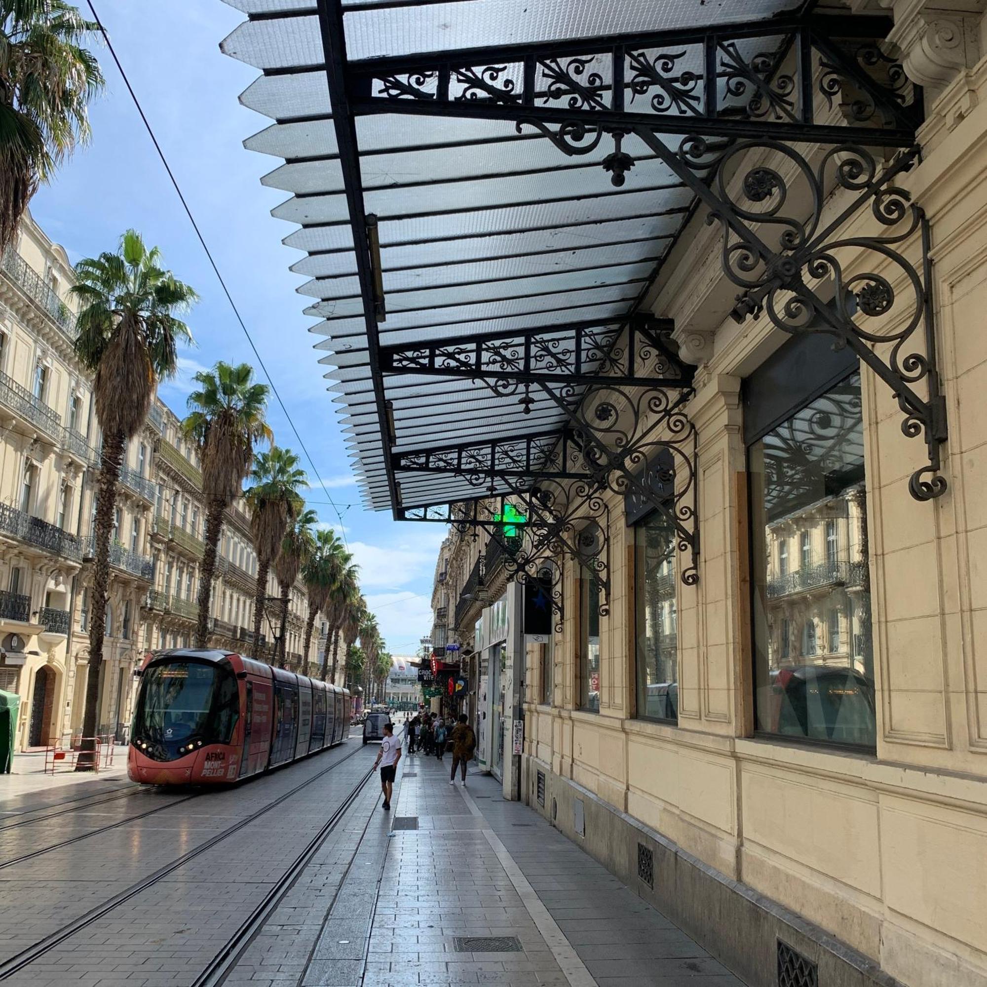 Home Chic Home - La Terrasse Bazille Montpellier Exterior photo